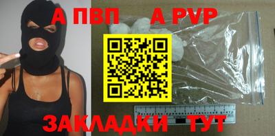 твердый Кингисепп