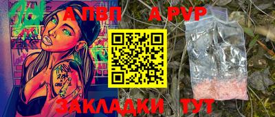 твердый Кингисепп