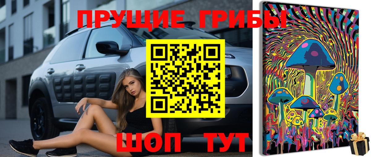 Галлюциногенные грибы ЛСД Черняховск