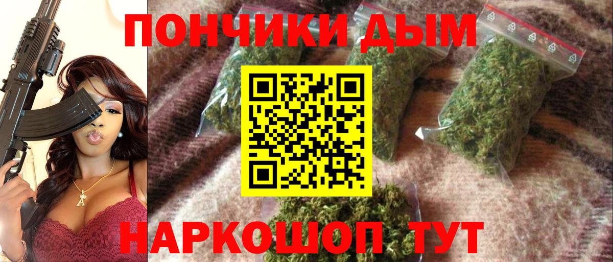 Шишки марихуана конопля Черняховск